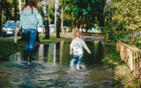 Jak radzić sobie z nadmiarem wody na podwórku i w ogrodzie